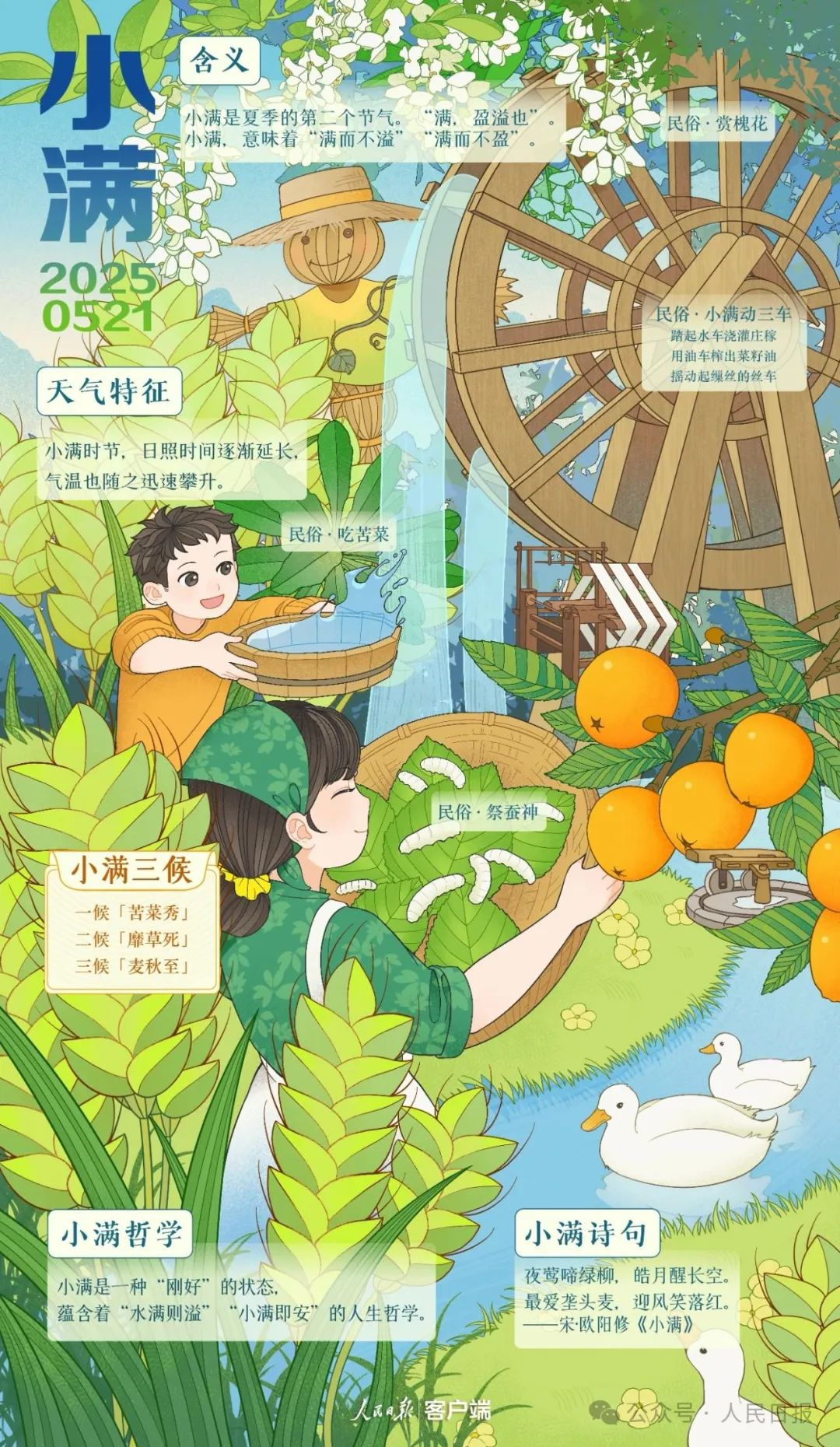 今日小满